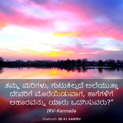 Picture 03 - ಯೋಬನು 38:41 KANIRV - ತಮ್ಮ ಮರಿಗಳು, - Bible Verse Picture