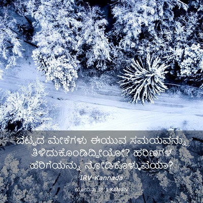 Picture 03 - ಯೋಬನು 39:1 KANIRV - ಬೆಟ್ಟದ ಮೇಕೆಗಳು - Bible Verse Picture