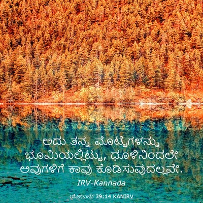 Picture 03 - ಯೋಬನು 39:14 KANIRV - ಅದು ತನ್ನ - Bible Verse Picture