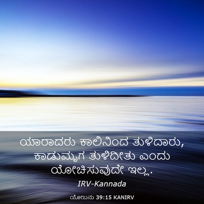 Picture 03 - ಯೋಬನು 39:15 KANIRV - ಯಾರಾದರು ಕಾಲಿನಿಂದ - Bible Verse Picture