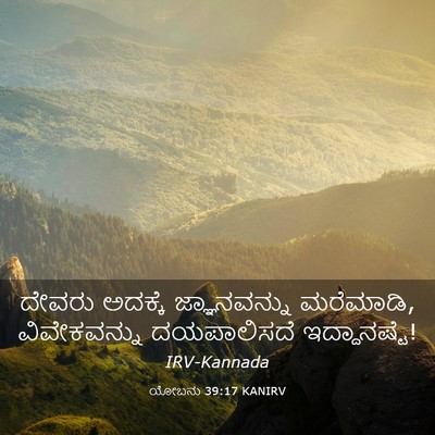 Picture 03 - ಯೋಬನು 39:17 KANIRV - ದೇವರು ಅದಕ್ಕೆ - Bible Verse Picture