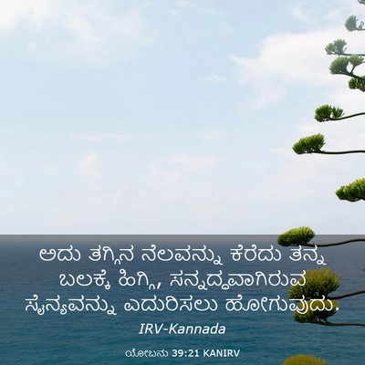 Picture 03 - ಯೋಬನು 39:21 KANIRV - ಅದು ತಗ್ಗಿನ - Bible Verse Picture