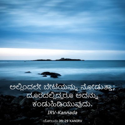 Picture 03 - ಯೋಬನು 39:29 KANIRV - ಅಲ್ಲಿಂದಲೇ - Bible Verse Picture