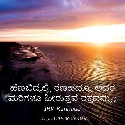 Picture 03 - ಯೋಬನು 39:30 KANIRV - ಹೆಣಬಿದ್ದಲ್ಲಿ - Bible Verse Picture