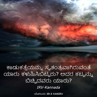 Picture 03 - ಯೋಬನು 39:5 KANIRV - ಕಾಡುಕತ್ತೆಯನ್ನು - Bible Verse Picture
