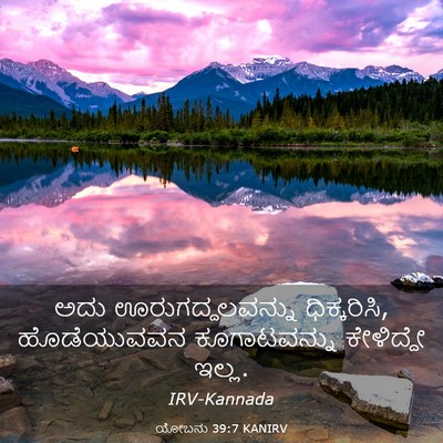 Picture 03 - ಯೋಬನು 39:7 KANIRV - ಅದು ಊರುಗದ್ದಲವನ್ನು - Bible Verse Picture