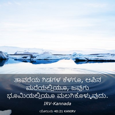 Picture 03 - ಯೋಬನು 40:21 KANIRV - ತಾವರೆಯ ಗಿಡಗಳ - Bible Verse Picture