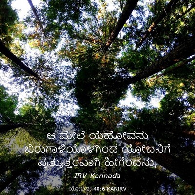Picture 03 - ಯೋಬನು 40:6 KANIRV - ಆ ಮೇಲೆ ಯೆಹೋವನು - Bible Verse Picture