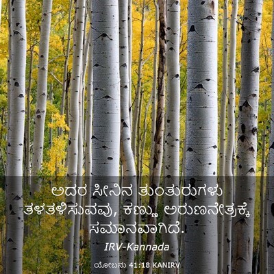 Picture 03 - ಯೋಬನು 41:18 KANIRV - ಅದರ ಸೀನಿನ - Bible Verse Picture