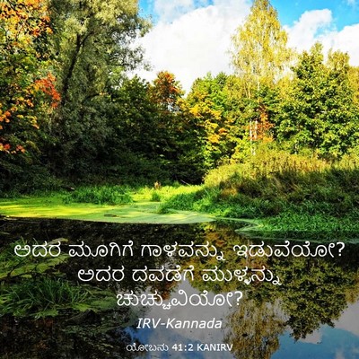 Picture 03 - ಯೋಬನು 41:2 KANIRV - ಅದರ ಮೂಗಿಗೆ - Bible Verse Picture