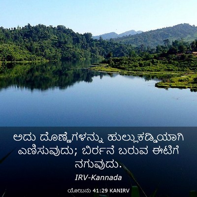 Picture 03 - ಯೋಬನು 41:29 KANIRV - ಅದು ದೊಣ್ಣೆಗಳನ್ನು - Bible Verse Picture