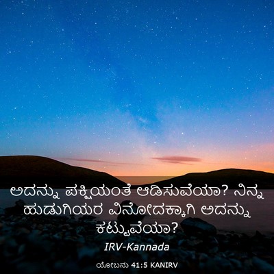 Picture 03 - ಯೋಬನು 41:5 KANIRV - ಅದನ್ನು ಪಕ್ಷಿಯಂತೆ - Bible Verse Picture