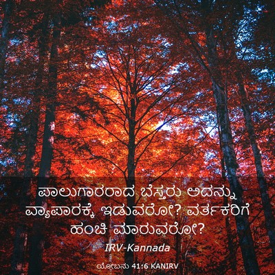 Picture 03 - ಯೋಬನು 41:6 KANIRV - ಪಾಲುಗಾರರಾದ - Bible Verse Picture