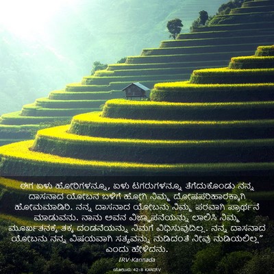 Picture 03 - ಯೋಬನು 42:8 KANIRV - ಈಗ ಏಳು ಹೋರಿಗಳನ್ನೂ, - Bible Verse Picture