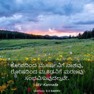 Picture 03 - ಯೋಬನು 5:2 KANIRV - ಕೋಪದಿಂದ ಮೂರ್ಖನಿಗೆ - Bible Verse Picture