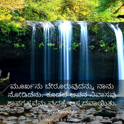 Picture 03 - ಯೋಬನು 5:3 KANIRV - ಮೂರ್ಖನು - Bible Verse Picture