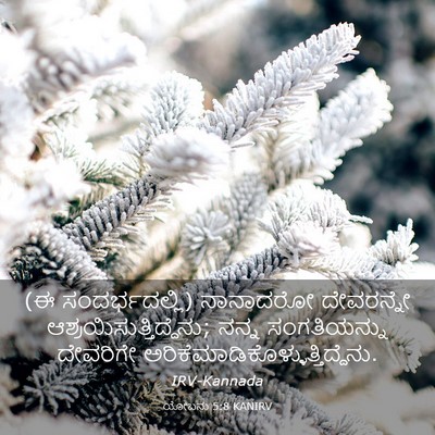 Picture 03 - ಯೋಬನು 5:8 KANIRV - (ಈ ಸಂದರ್ಭದಲ್ಲಿ) - Bible Verse Picture