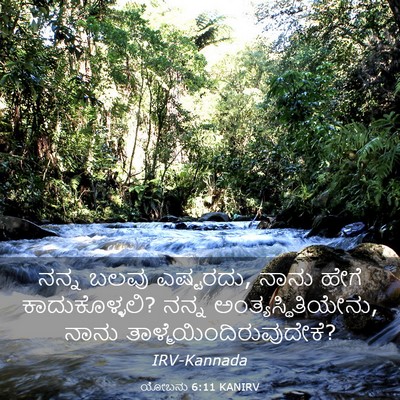 Picture 03 - ಯೋಬನು 6:11 KANIRV - ನನ್ನ ಬಲವು ಎಷ್ಟರದು, - Bible Verse Picture