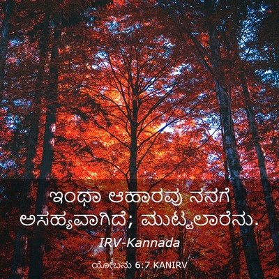 Picture 03 - ಯೋಬನು 6:7 KANIRV - ಇಂಥಾ ಆಹಾರವು ನನಗೆ - Bible Verse Picture