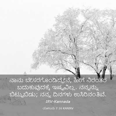 Picture 03 - ಯೋಬನು 7:16 KANIRV - ನಾನು - Bible Verse Picture