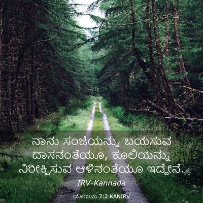 Picture 03 - ಯೋಬನು 7:2 KANIRV - ನಾನು ಸಂಜೆಯನ್ನು - Bible Verse Picture