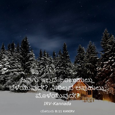 Picture 03 - ಯೋಬನು 8:11 KANIRV - ಜವುಗು ಇಲ್ಲದೆ - Bible Verse Picture