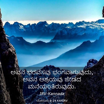 Picture 03 - ಯೋಬನು 8:14 KANIRV - ಅವನ ಭರವಸವು - Bible Verse Picture