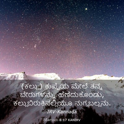 Picture 03 - ಯೋಬನು 8:17 KANIRV - (ಕಲ್ಲು) ಕುಪ್ಪೆಯ - Bible Verse Picture