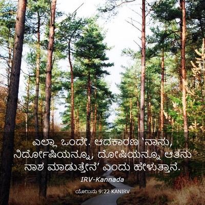 Picture 03 - ಯೋಬನು 9:22 KANIRV - ಎಲ್ಲಾ ಒಂದೇ. ಆದಕಾರಣ - Bible Verse Picture