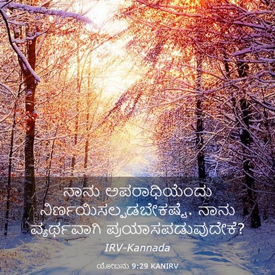 Picture 03 - ಯೋಬನು 9:29 KANIRV - ನಾನು ಅಪರಾಧಿಯೆಂದು - Bible Verse Picture