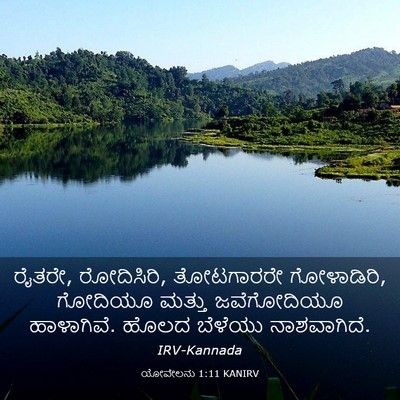 Picture 03 - ಯೋವೇಲನು 1:11 KANIRV - ರೈತರೇ, ರೋದಿಸಿರಿ, - Bible Verse Picture