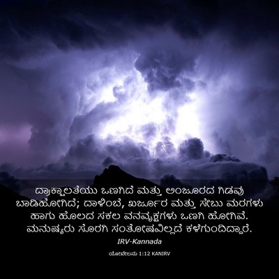 Picture 03 - ಯೋವೇಲನು 1:12 KANIRV - ದ್ರಾಕ್ಷಾಲತೆಯು - Bible Verse Picture