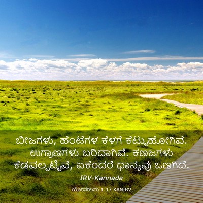 Picture 03 - ಯೋವೇಲನು 1:17 KANIRV - ಬೀಜಗಳು, ಹೆಂಟೆಗಳ - Bible Verse Picture