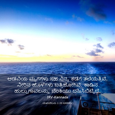 Picture 03 - ಯೋವೇಲನು 1:20 KANIRV - ಅಡವಿಯ ಮೃಗಗಳು ಸಹ - Bible Verse Picture