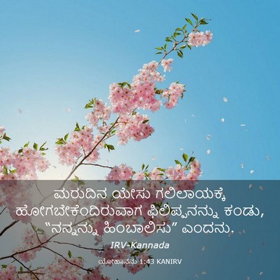 Picture 03 - ಯೋಹಾನನು 1:43 KANIRV - ಮರುದಿನ ಯೇಸು - Bible Verse Picture