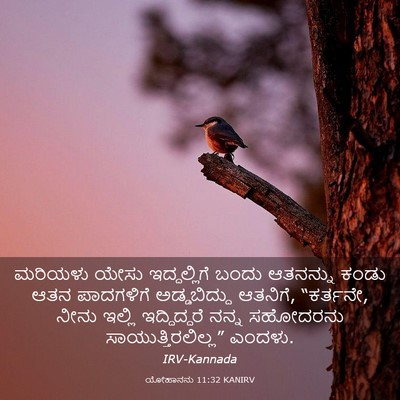 Picture 03 - ಯೋಹಾನನು 11:32 KANIRV - ಮರಿಯಳು ಯೇಸು - Bible Verse Picture