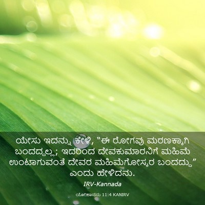 Picture 03 - ಯೋಹಾನನು 11:4 KANIRV - ಯೇಸು ಇದನ್ನು ಕೇಳಿ, - Bible Verse Picture