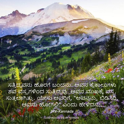 Picture 03 - ಯೋಹಾನನು 11:44 KANIRV - ಸತ್ತಿದ್ದವನು ಹೊರಗೆ - Bible Verse Picture