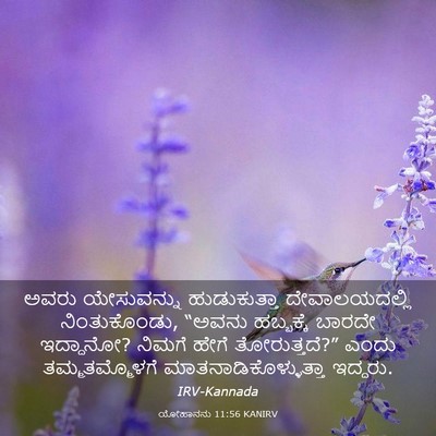 Picture 03 - ಯೋಹಾನನು 11:56 KANIRV - ಅವರು ಯೇಸುವನ್ನು - Bible Verse Picture