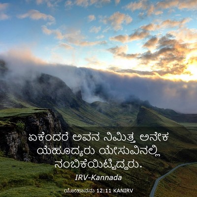 Picture 03 - ಯೋಹಾನನು 12:11 KANIRV - ಏಕೆಂದರೆ ಅವನ - Bible Verse Picture