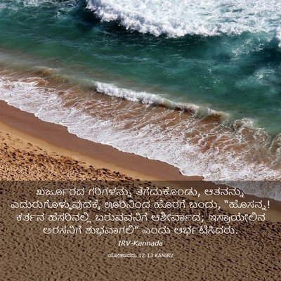Picture 03 - ಯೋಹಾನನು 12:13 KANIRV - ಖರ್ಜೂರದ ಗರಿಗಳನ್ನು - Bible Verse Picture