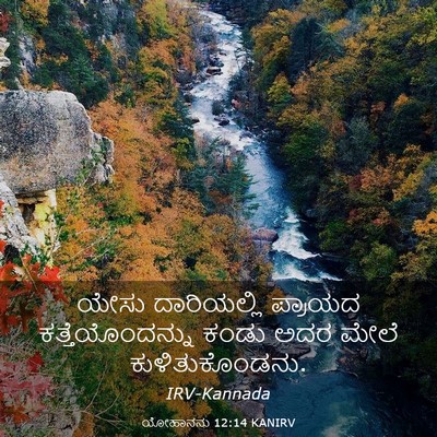 Picture 03 - ಯೋಹಾನನು 12:14 KANIRV - ಯೇಸು ದಾರಿಯಲ್ಲಿ - Bible Verse Picture