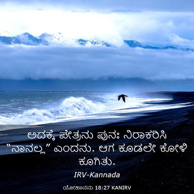 Picture 03 - ಯೋಹಾನನು 18:27 KANIRV - ಅದಕ್ಕೆ ಪೇತ್ರನು - Bible Verse Picture