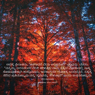 Picture 03 - ಯೋಹಾನನು 18:37 KANIRV - ಅದಕ್ಕೆ ಪಿಲಾತನು, - Bible Verse Picture