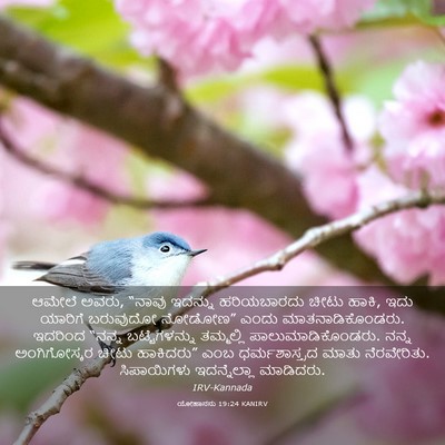 Picture 03 - ಯೋಹಾನನು 19:24 KANIRV - ಆಮೇಲೆ ಅವರು, “ನಾವು - Bible Verse Picture