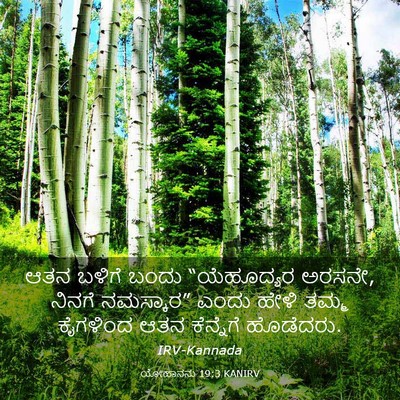 Picture 03 - ಯೋಹಾನನು 19:3 KANIRV - ಆತನ ಬಳಿಗೆ ಬಂದು - Bible Verse Picture