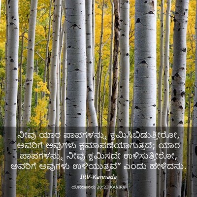 Picture 03 - ಯೋಹಾನನು 20:23 KANIRV - ನೀವು ಯಾರ - Bible Verse Picture
