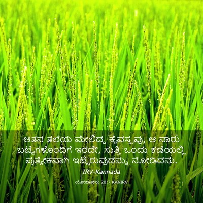 Picture 03 - ಯೋಹಾನನು 20:7 KANIRV - ಆತನ ತಲೆಯ ಮೇಲಿದ್ದ - Bible Verse Picture