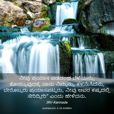 Picture 03 - ಯೋಹಾನನು 4:38 KANIRV - ನೀವು ಪ್ರಯಾಸ ಪಡದಂಥ - Bible Verse Picture