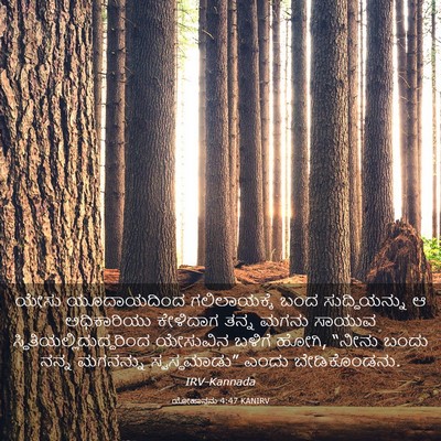 Picture 03 - ಯೋಹಾನನು 4:47 KANIRV - ಯೇಸು ಯೂದಾಯದಿಂದ - Bible Verse Picture